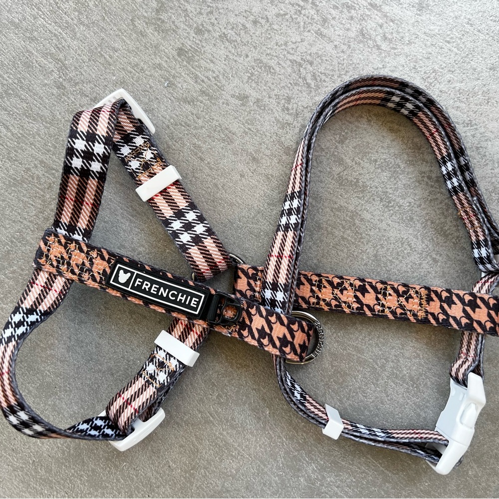 Adjustable strap harness